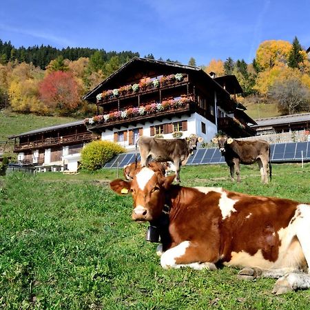 Wegscheiderhof Bed & Breakfast Bressanone Dış mekan fotoğraf