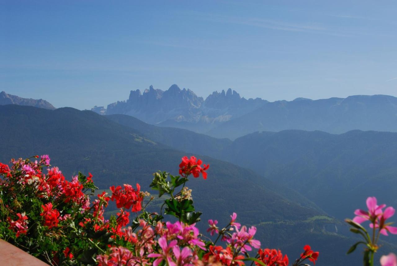 Wegscheiderhof Bed & Breakfast Bressanone Dış mekan fotoğraf